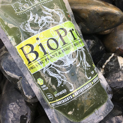 Exoterra KickStarter Campaign