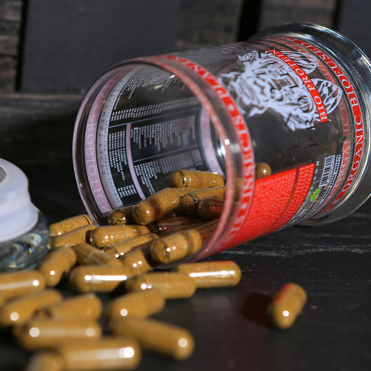 Exoterra Bio Protein Release !!!