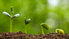 Exoterra Organics | The First Organic Insect & Plant Based Superfood Protein