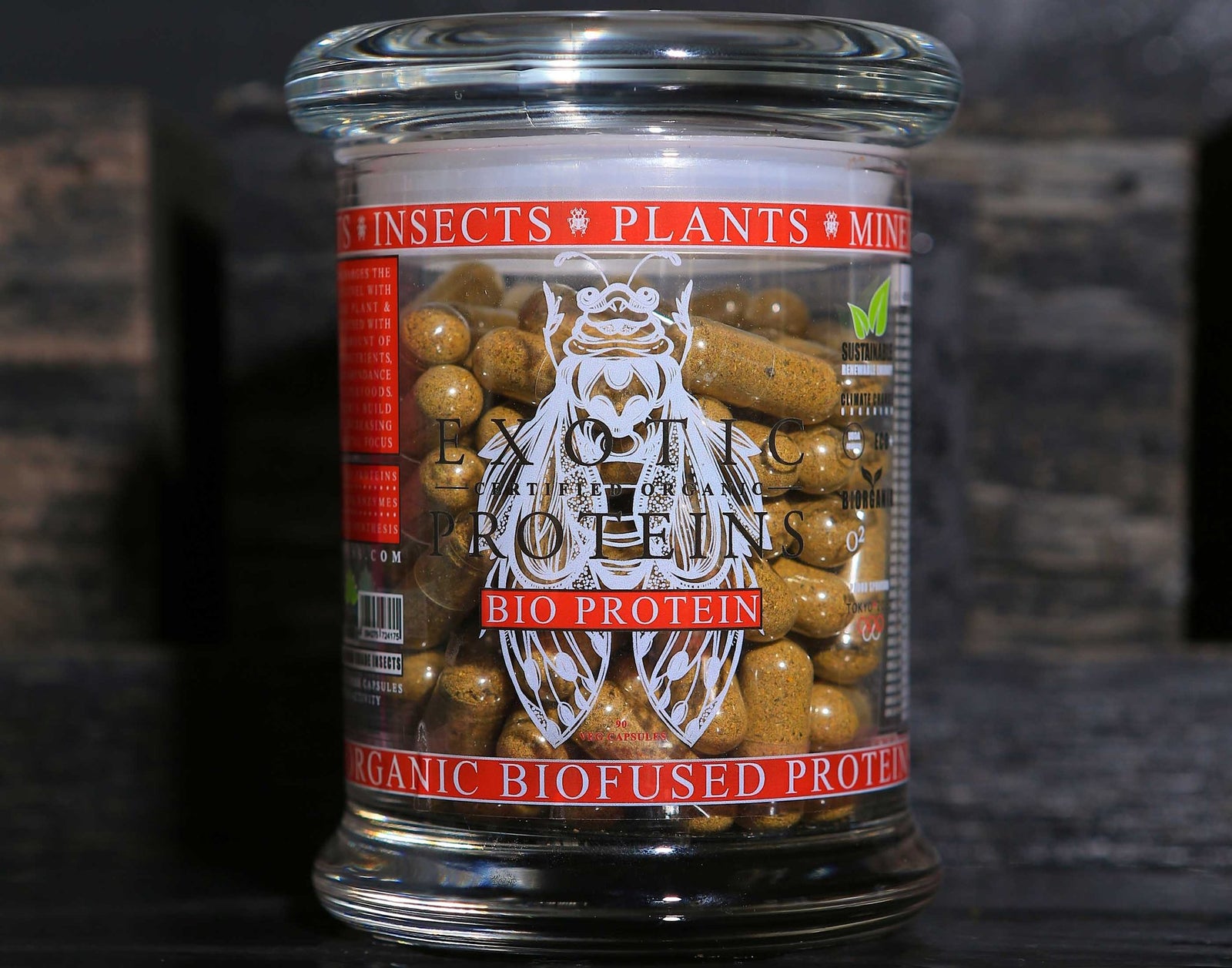 EXOTERRA | BLX - Black Fly Larvae